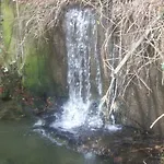 Gelso * Castellana Sicula