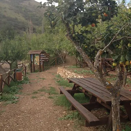 Farma Gelso